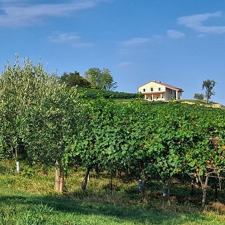 Agriturismo Riva Beata Cavaso Del Tomba Esterno foto