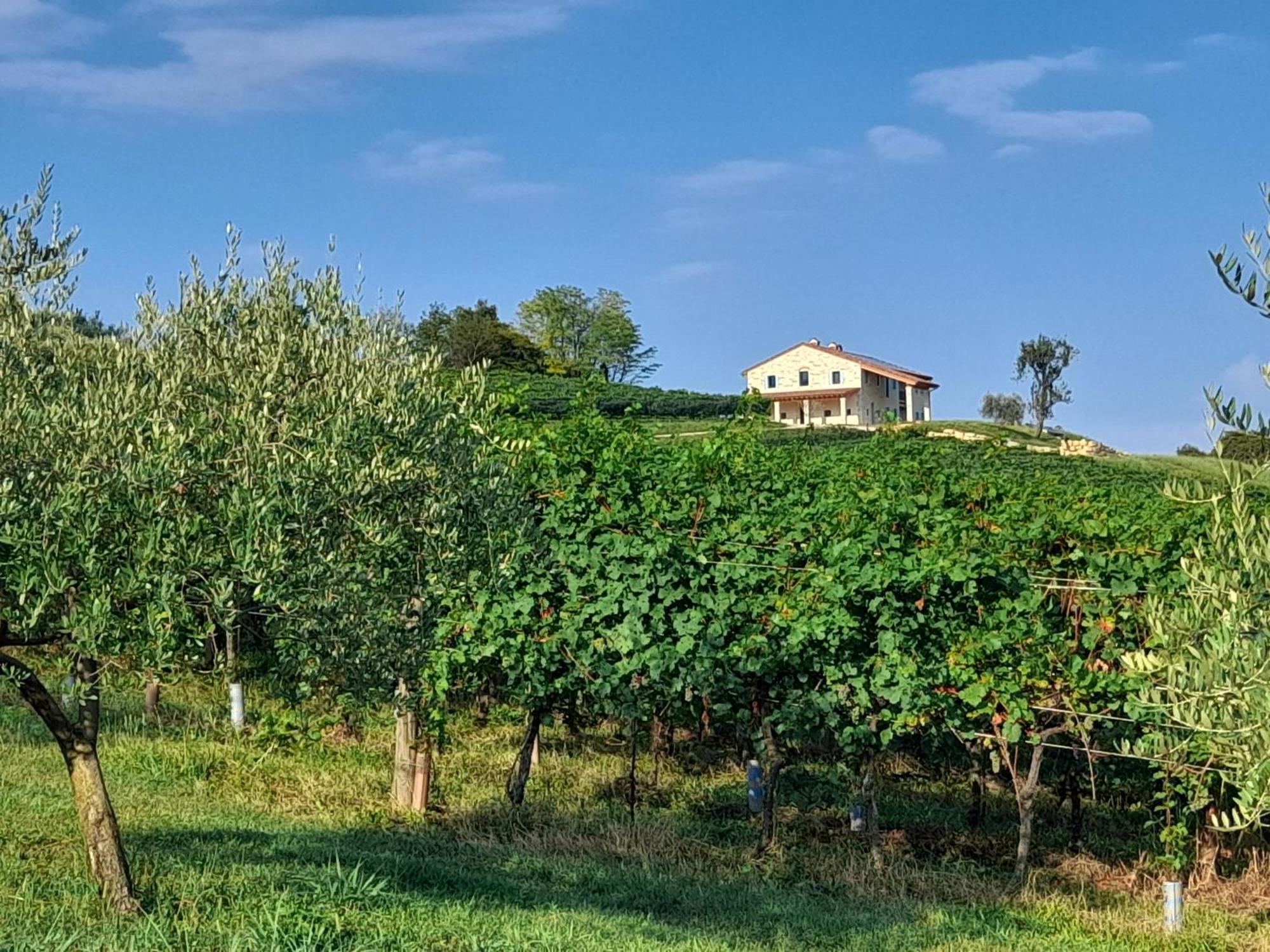 Agriturismo Riva Beata Cavaso Del Tomba Esterno foto