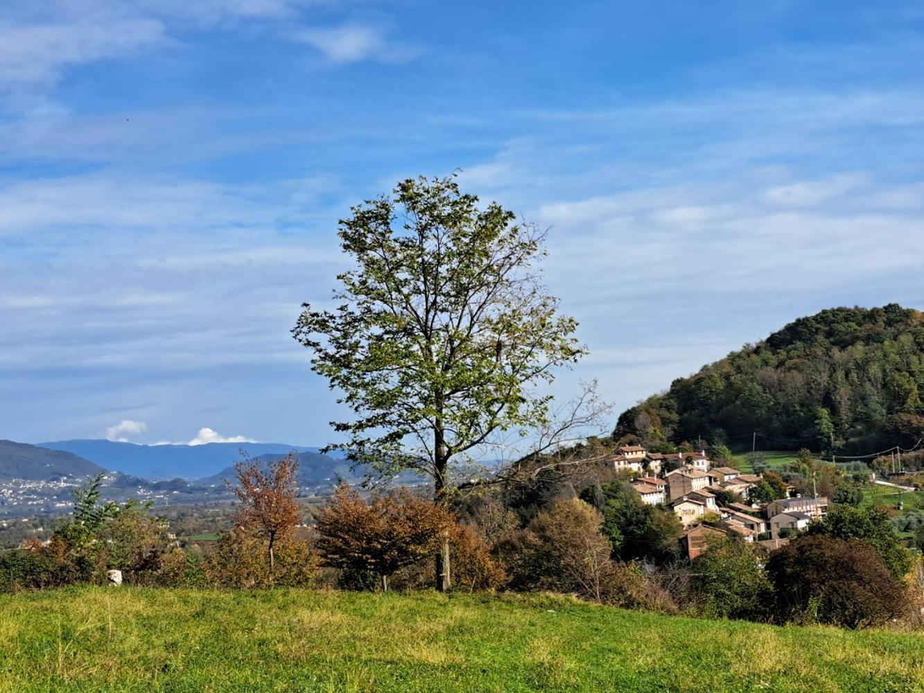 Agriturismo Riva Beata Cavaso Del Tomba Esterno foto