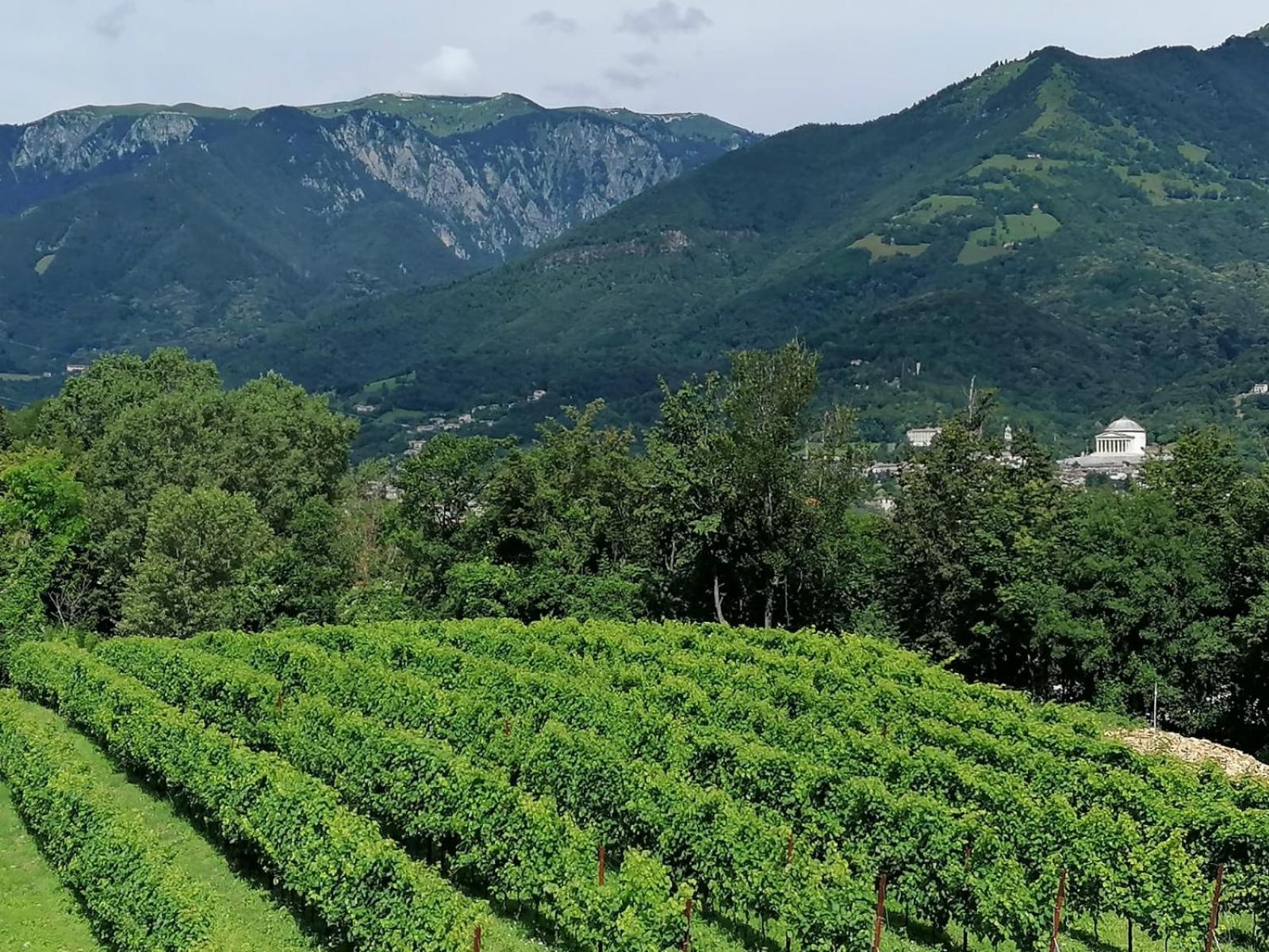 Agriturismo Riva Beata Cavaso Del Tomba Esterno foto